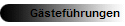 G�stef�hrungen